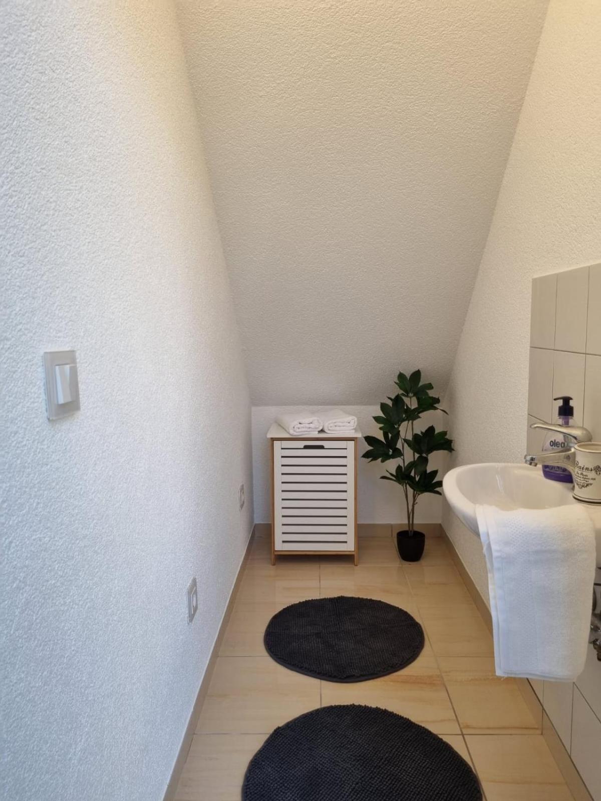 Apartman Blazenka ドラスニセ エクステリア 写真